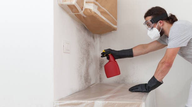 Professional Bathroom Mold Removal technician working in Lilburn, GA